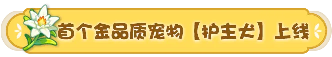 巴基斯坦火,车火灾导致,人遇难,AG真人,AG真人入口,AG真人官网,AG真人官方入口,AG真人官方网址