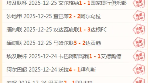 卡纳瓦罗寄望加图索再创辉煌，意大利足球梦回世界杯，绝不再让空白重现！